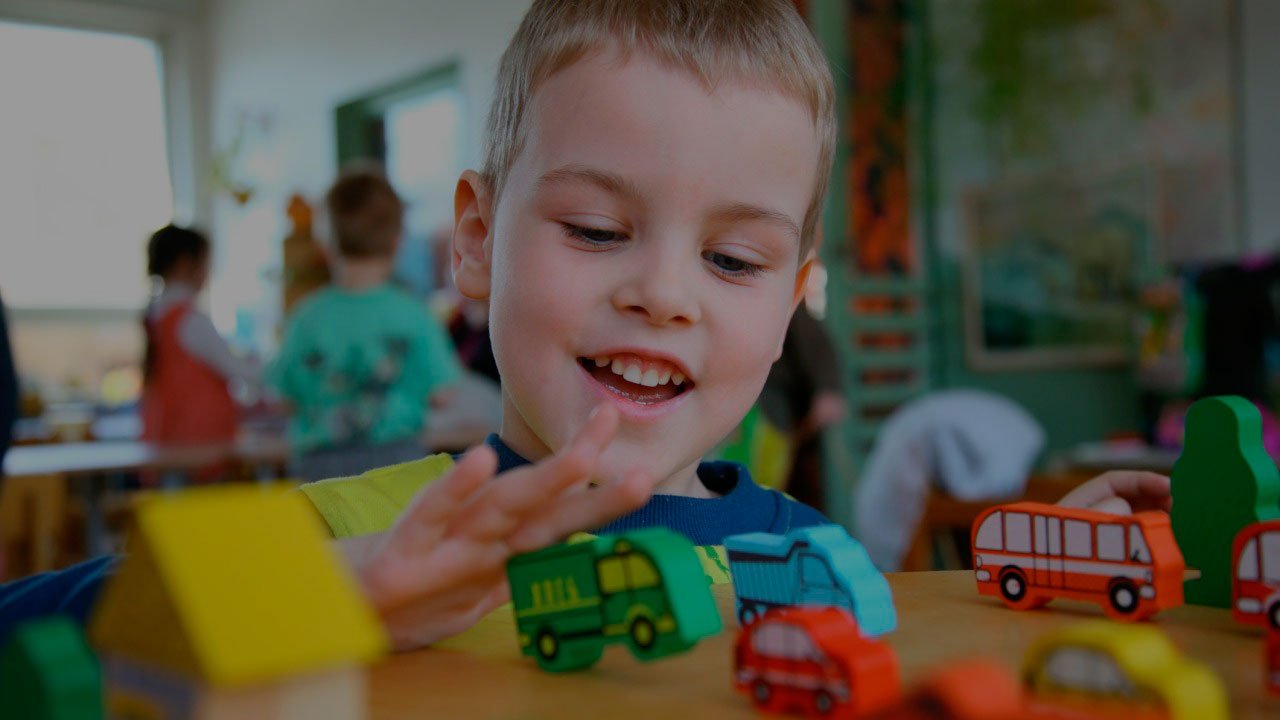 LINCA | Liga de Intervención Nutricional contra Autismo e Hiperactividad A.C.